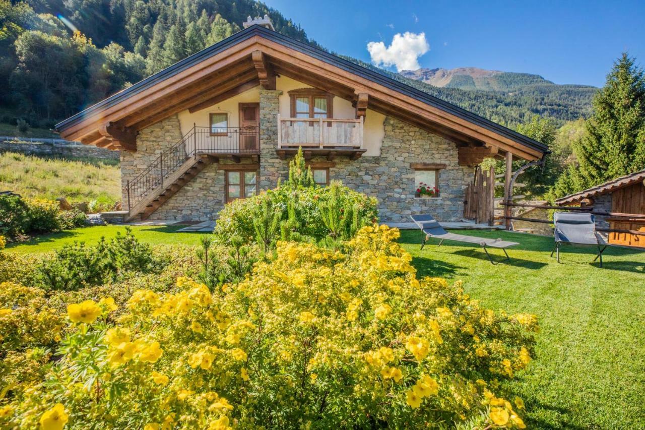 Petit Haury - Alloggi Ad Uso Turistico Vda N 0039 E N 0040 - Holiday home *